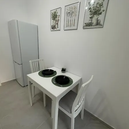 公寓 Suba's 蒂米什瓦拉